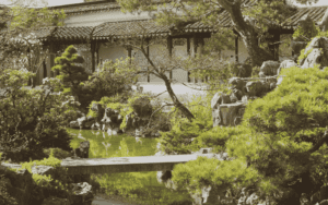 Outdoor living space ideas using complex and beautiful greener along with a water feature.