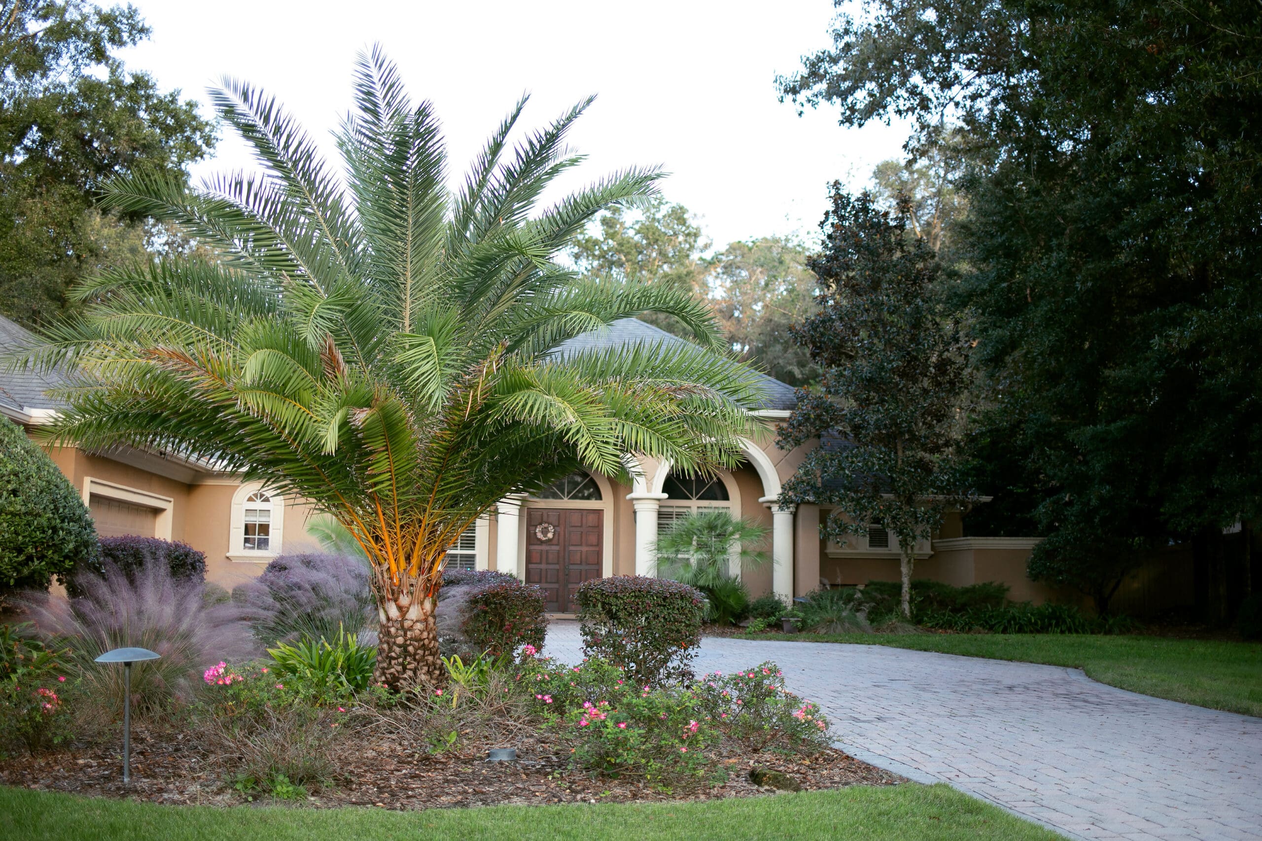 Partner With Ocala, FL's Best Landscape Design Team for a Curb Appeal ...