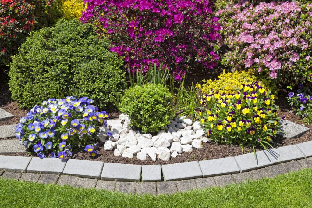 beautiful flower garden in summer with variety of colorful blooming flowers