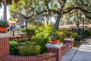 A beautiful front yard with large trees.