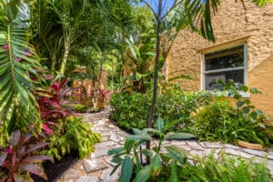 Lush tropical landscaping surrounds a winding stone pathway beside a stucco home with a textured yellow exterior and a single window, featuring dense greenery, vibrant red ti plants, and palm fronds under bright sunlight.