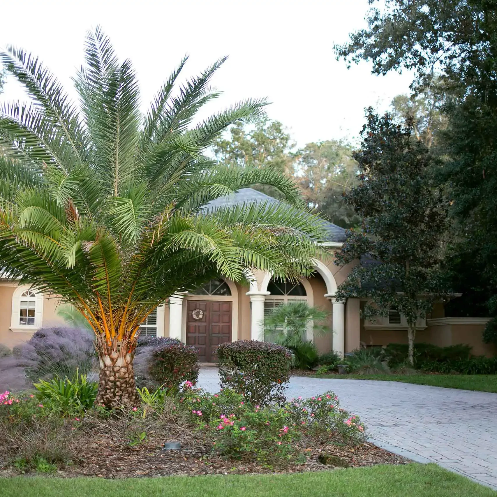 1Y5A7923copy Gainesville, FL Landscaping Services