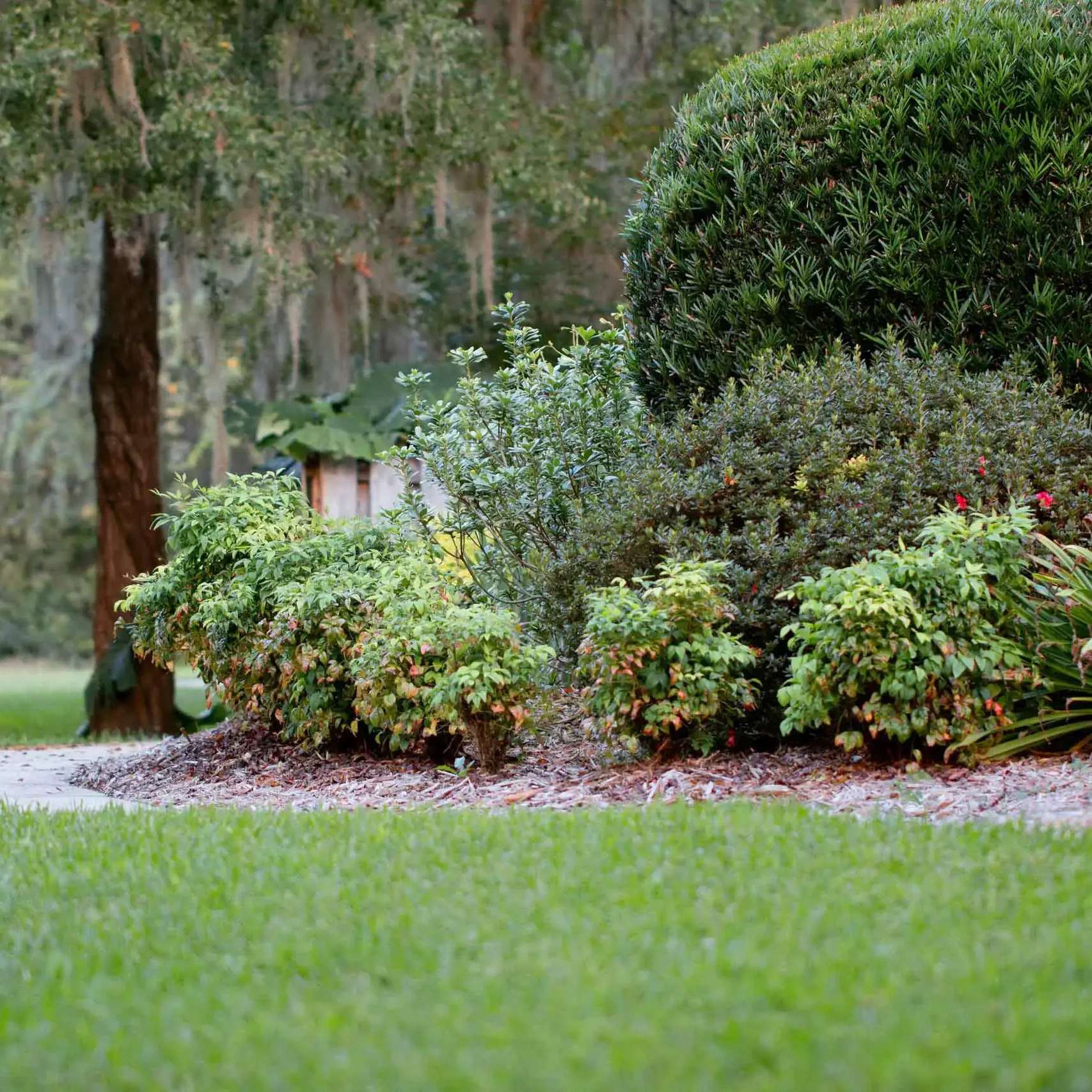 IMG_8121copy Newberry, FL Landscaping Services Team